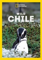 plakat filmu Dzikie Chile