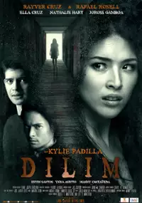 Plakat filmu Dilim