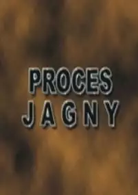 Plakat filmu Proces Jagny
