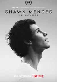 Plakat filmu Shawn Mendes: In Wonder