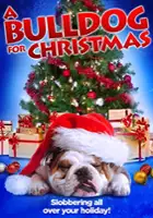 Chandra McCracken / A Bulldog for Christmas