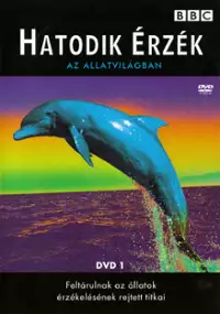 Plakat serialu Supersense