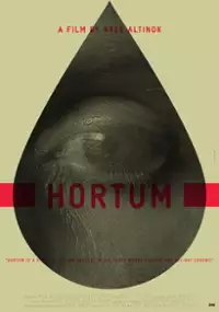 Plakat filmu Hortum