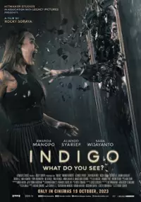 Plakat filmu Indigo