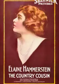 Plakat filmu The Country Cousin