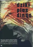 Boris Khutoryansky / Dziki pies Dingo
