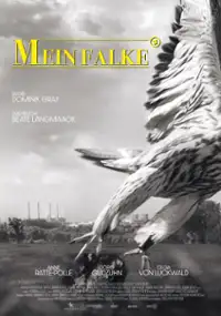 Plakat filmu Mein Falke