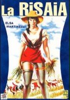 plakat filmu Dziewczyna z pola ryżowego