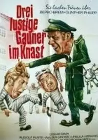 Plakat filmu Verrückt und zugenäht