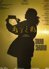 Plakat filmu Du ling zhi ying