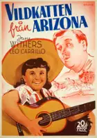 plakat filmu The Arizona Wildcat