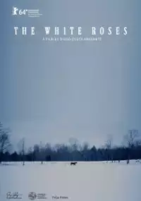 Plakat filmu As Rosas Brancas