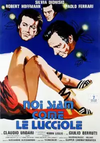 Plakat filmu Noi siam come le lucciole