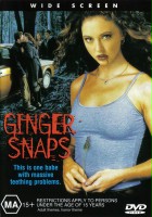 plakat filmu Zdjęcia Ginger