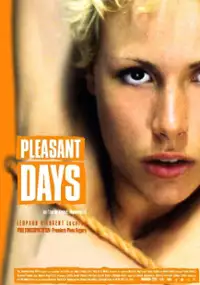 Plakat filmu Kilka pogodnych dni