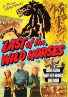 plakat filmu Last of the Wild Horses