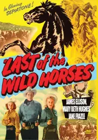 Plakat filmu Last of the Wild Horses