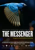 Carole Larsen / The Messenger