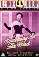plakat filmu Something in the Wind