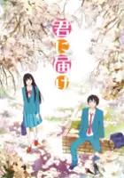 plakat serialu Kimi ni Todoke