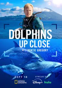 Plakat programu TV Bertie Gregory: bliskie spotkanie z delfinami