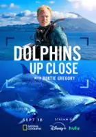 plakat programu TV Bertie Gregory: bliskie spotkanie z delfinami