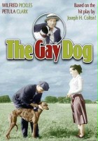 plakat filmu The Gay Dog