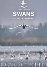 Plakat filmu Swans: Mystery of the Missing