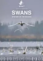 Ben Cherry / Swans: Mystery of the Missing