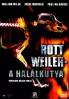 Reyes Matabuena / Rottweiler