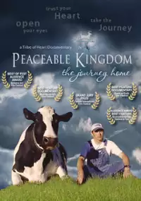Plakat filmu Królestwo spokoju. Podróż do domu