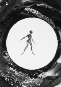 Plakat filmu Les Fleurs de macadam