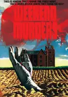 plakat filmu Concerto per pistola solista