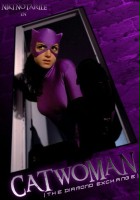 plakat filmu Catwoman: The Diamond Exchange