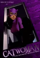 plakat filmu Catwoman: The Diamond Exchange
