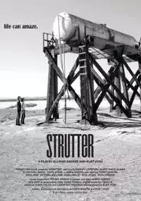 Plakat filmu Strutter