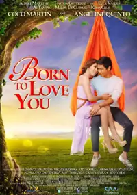 Plakat filmu Born to Love You