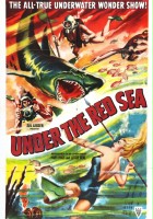 plakat filmu Przygody na Morzu Czerwonym