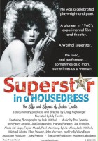 plakat filmu Superstar in a Housedress