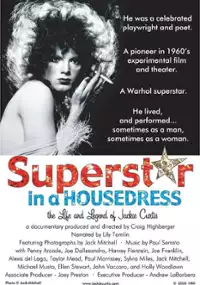 Plakat filmu Superstar in a Housedress