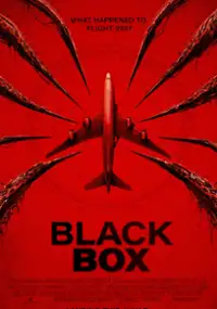 Plakat filmu Black Box (Flight 298)