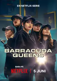 Plakat serialu Królowe Djursholm