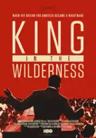 Peter W. Kunhardt / Martin Luther King: Prorok na pustyni