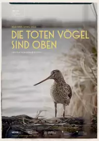 Plakat filmu Martwe ptaki górą