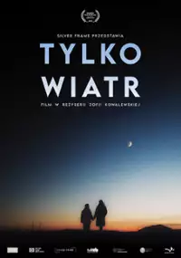 Plakat filmu Tylko wiatr