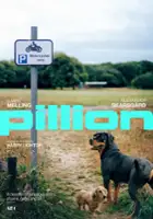 Pim Hermeling / Pillion