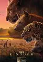 plakat serialu Kingdom