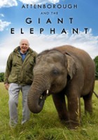 plakat filmu David Attenborough i olbrzymi słoń Jumbo