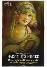Plakat filmu Moonlight and Honeysuckle