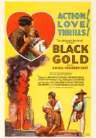 plakat filmu Black Gold